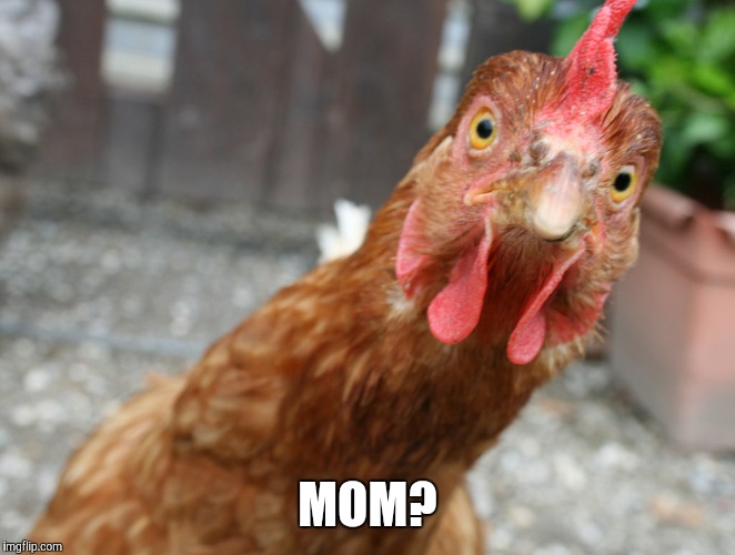 MOM? | made w/ Imgflip meme maker