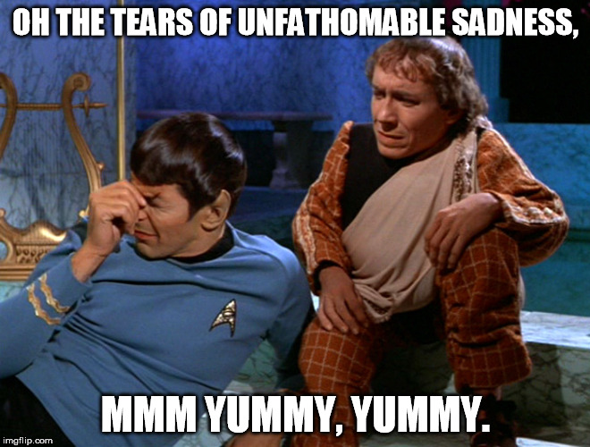 OH THE TEARS OF UNFATHOMABLE SADNESS, MMM YUMMY, YUMMY. | image tagged in spock crying | made w/ Imgflip meme maker