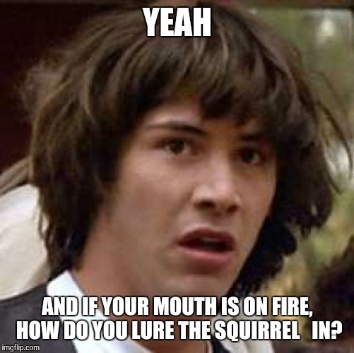 Conspiracy Keanu Meme | YEAH AND IF YOUR MOUTH IS ON FIRE, HOW DO YOU LURE THE SQUIRREL   IN? | image tagged in memes,conspiracy keanu | made w/ Imgflip meme maker