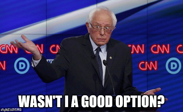 Wat Bernie | WASN'T I A GOOD OPTION? | image tagged in wat bernie | made w/ Imgflip meme maker