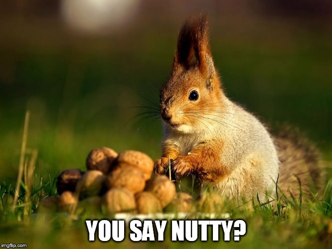 YOU SAY NUTTY? | made w/ Imgflip meme maker