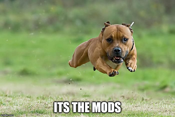 ITS THE MODS | made w/ Imgflip meme maker