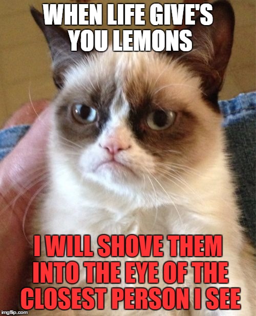 Grumpy Cat | WHEN LIFE GIVE'S YOU LEMONS; I WILL SHOVE THEM INTO THE EYE OF THE CLOSEST PERSON I SEE | image tagged in memes,grumpy cat | made w/ Imgflip meme maker