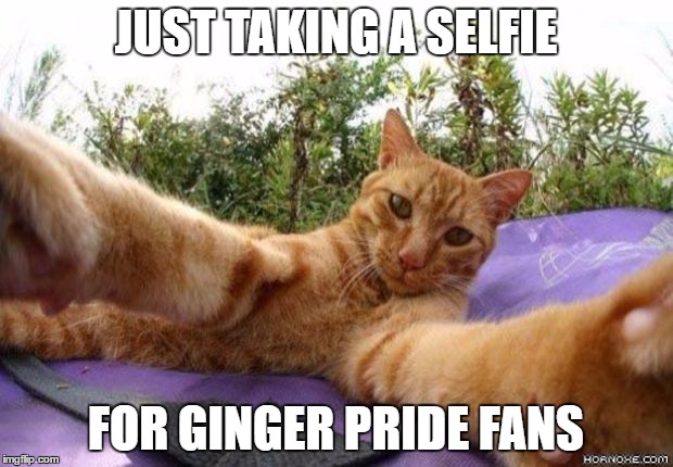 catselfie | JUST TAKING A SELFIE; FOR GINGER PRIDE FANS | image tagged in catselfie | made w/ Imgflip meme maker
