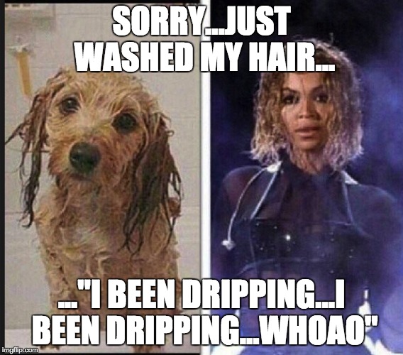 SORRY...JUST WASHED MY HAIR... ..."I BEEN DRIPPING...I BEEN DRIPPING...WHOAO" | image tagged in wethair,dripping | made w/ Imgflip meme maker