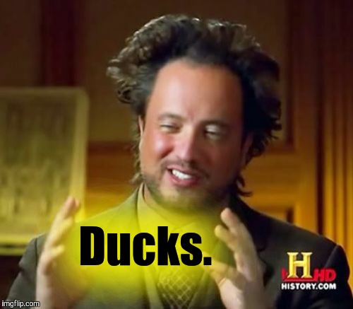 Ancient Aliens Meme | Ducks. | image tagged in memes,ancient aliens | made w/ Imgflip meme maker