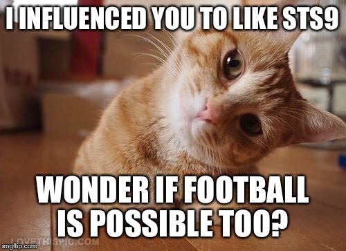 Curious Question Cat | I INFLUENCED YOU TO LIKE STS9; WONDER IF FOOTBALL IS POSSIBLE TOO? | image tagged in curious question cat | made w/ Imgflip meme maker