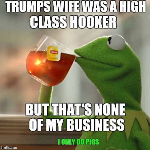 Hooker Trump | TRUMPS WIFE WAS A HIGH; CLASS HOOKER; BUT THAT'S NONE OF MY BUSINESS; I ONLY DO PIGS | image tagged in memes,but thats none of my business,kermit the frog,trump,hooker | made w/ Imgflip meme maker