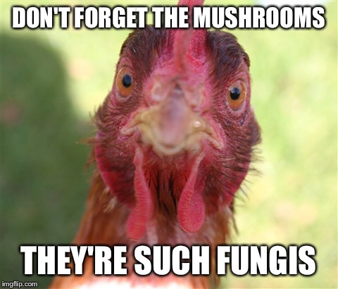 DON'T FORGET THE MUSHROOMS THEY'RE SUCH FUNGIS | made w/ Imgflip meme maker