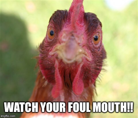 WATCH YOUR FOUL MOUTH!! | made w/ Imgflip meme maker