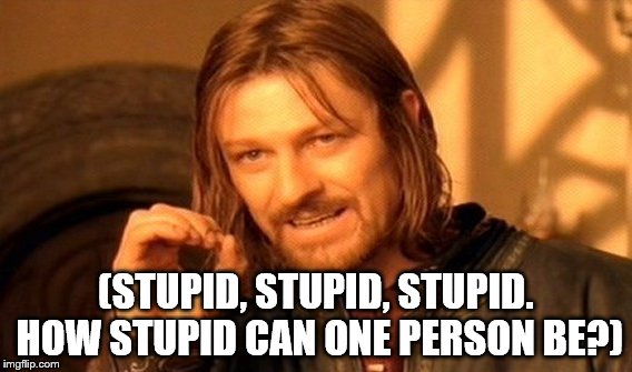One Does Not Simply | (STUPID, STUPID, STUPID. HOW STUPID CAN ONE PERSON BE?) | image tagged in memes,one does not simply | made w/ Imgflip meme maker
