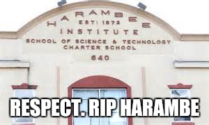 I want to go to this school. Respect for the people who named it. | RESPECT. RIP HARAMBE | image tagged in harambe,funny,gorilla,memes,school | made w/ Imgflip meme maker