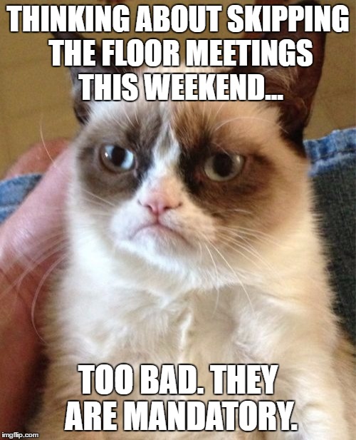 Grumpy Cat Meme | THINKING ABOUT SKIPPING THE FLOOR MEETINGS THIS WEEKEND... TOO BAD. THEY ARE MANDATORY. | image tagged in memes,grumpy cat | made w/ Imgflip meme maker