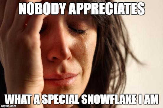 First World Problems | NOBODY APPRECIATES; WHAT A SPECIAL SNOWFLAKE I AM | image tagged in memes,first world problems | made w/ Imgflip meme maker
