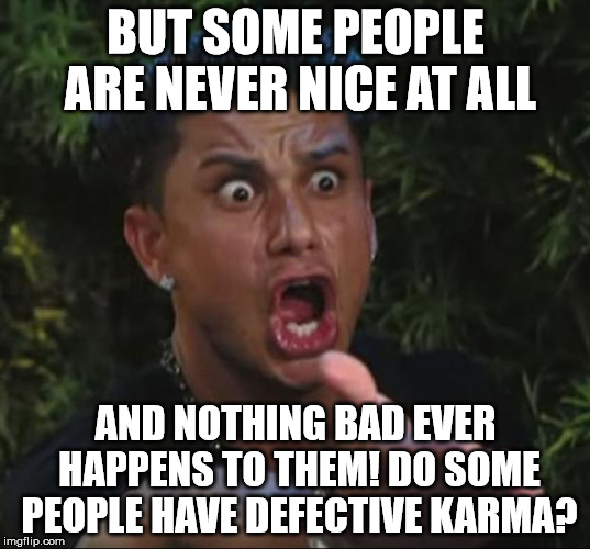 BUT SOME PEOPLE ARE NEVER NICE AT ALL AND NOTHING BAD EVER HAPPENS TO THEM! DO SOME PEOPLE HAVE DEFECTIVE KARMA? | image tagged in pauly | made w/ Imgflip meme maker