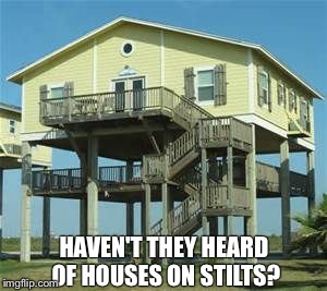 HAVEN'T THEY HEARD OF HOUSES ON STILTS? | made w/ Imgflip meme maker