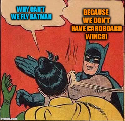 Batman Slapping Robin Meme | WHY CAN'T WE FLY BATMAN BECAUSE WE DON'T HAVE CARDBOARD WINGS! | image tagged in memes,batman slapping robin | made w/ Imgflip meme maker