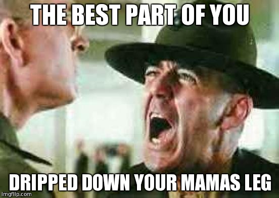 drill sergeant yelling | THE BEST PART OF YOU; DRIPPED DOWN YOUR MAMAS LEG | image tagged in drill sergeant yelling | made w/ Imgflip meme maker