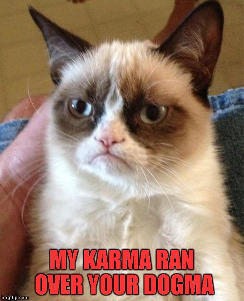 Grumpy Cat Meme | MY KARMA RAN OVER YOUR DOGMA | image tagged in memes,grumpy cat | made w/ Imgflip meme maker
