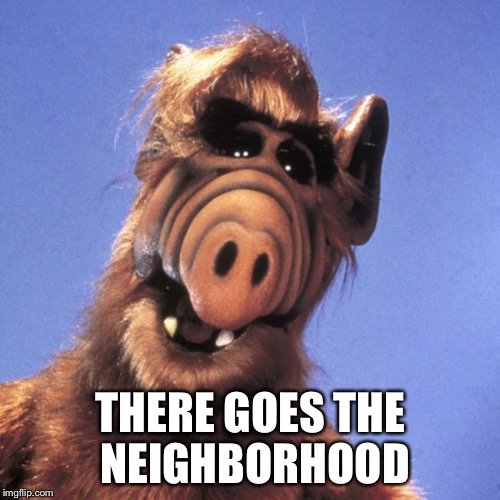 Alf  | THERE GOES THE NEIGHBORHOOD | image tagged in alf | made w/ Imgflip meme maker