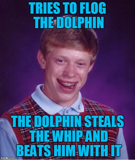 Bad Luck Brian Meme | TRIES TO FLOG THE DOLPHIN THE DOLPHIN STEALS THE WHIP AND BEATS HIM WITH IT | image tagged in memes,bad luck brian | made w/ Imgflip meme maker