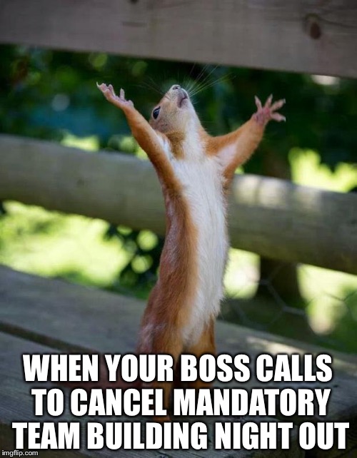 Happy Squirrel | WHEN YOUR BOSS CALLS TO CANCEL MANDATORY TEAM BUILDING NIGHT OUT | image tagged in happy squirrel | made w/ Imgflip meme maker