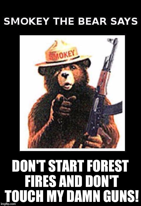 Smokey blank | DON'T START FOREST FIRES AND DON'T TOUCH MY DAMN GUNS! | image tagged in smokey blank | made w/ Imgflip meme maker