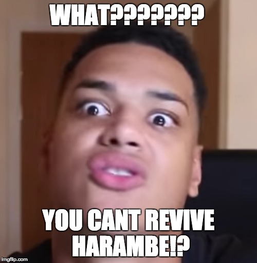 Harambe can't be revived!? | WHAT??????? YOU CANT REVIVE HARAMBE!? | image tagged in harambe | made w/ Imgflip meme maker