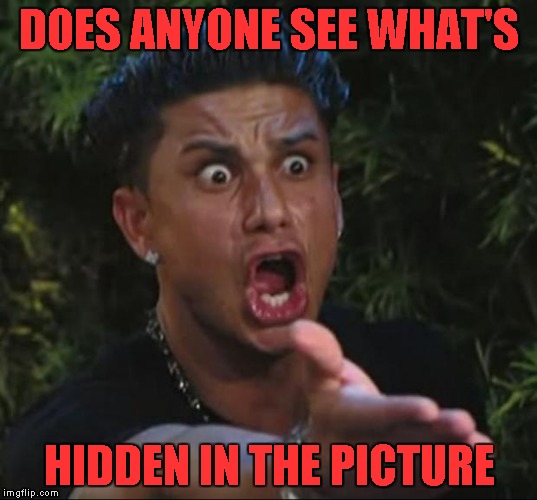 DOES ANYONE SEE WHAT'S HIDDEN IN THE PICTURE | made w/ Imgflip meme maker