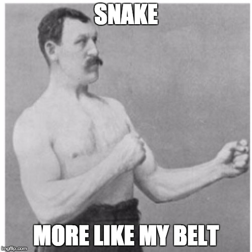 Overly Manly Man | SNAKE; MORE LIKE MY BELT | image tagged in memes,overly manly man | made w/ Imgflip meme maker