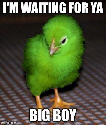 I'M WAITING FOR YA BIG BOY | image tagged in green chick | made w/ Imgflip meme maker