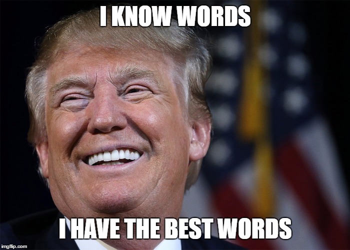 I KNOW WORDS; I HAVE THE BEST WORDS | image tagged in trump quotes,donald trump,trump,trump 2016 | made w/ Imgflip meme maker