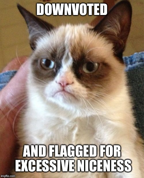 Grumpy Cat Meme | DOWNVOTED AND FLAGGED FOR EXCESSIVE NICENESS | image tagged in memes,grumpy cat | made w/ Imgflip meme maker