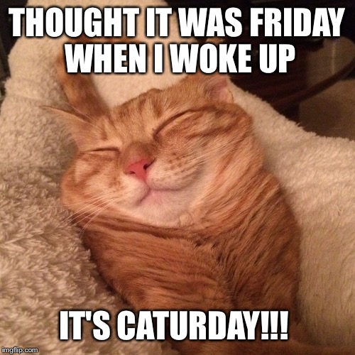Blanket cat | THOUGHT IT WAS FRIDAY WHEN I WOKE UP; IT'S CATURDAY!!! | image tagged in blanket cat | made w/ Imgflip meme maker