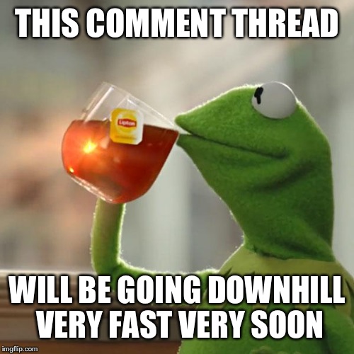 But That's None Of My Business Meme | THIS COMMENT THREAD WILL BE GOING DOWNHILL VERY FAST VERY SOON | image tagged in memes,but thats none of my business,kermit the frog | made w/ Imgflip meme maker