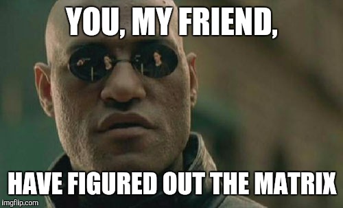 Matrix Morpheus Meme | YOU, MY FRIEND, HAVE FIGURED OUT THE MATRIX | image tagged in memes,matrix morpheus | made w/ Imgflip meme maker