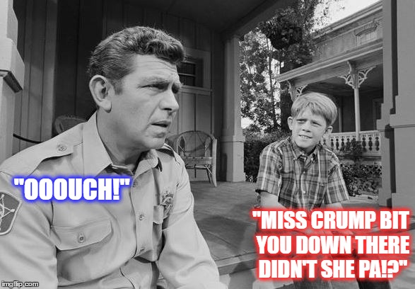 Andy Griffith | "OOOUCH!"; "MISS CRUMP BIT YOU DOWN THERE DIDN'T SHE PA!?" | image tagged in andy griffith | made w/ Imgflip meme maker