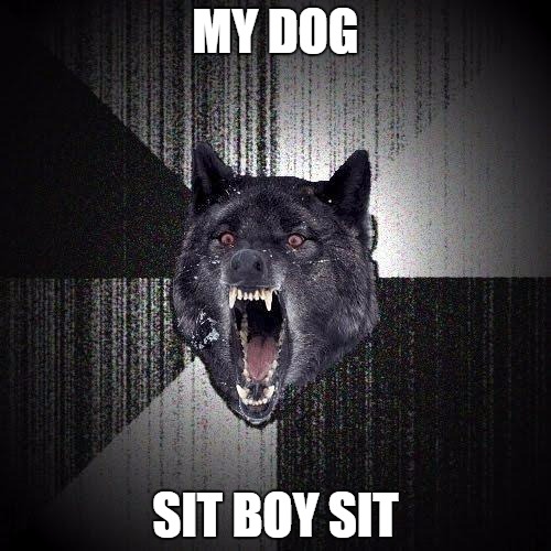 Insanity Wolf | MY DOG; SIT BOY SIT | image tagged in memes,insanity wolf,funny memes | made w/ Imgflip meme maker