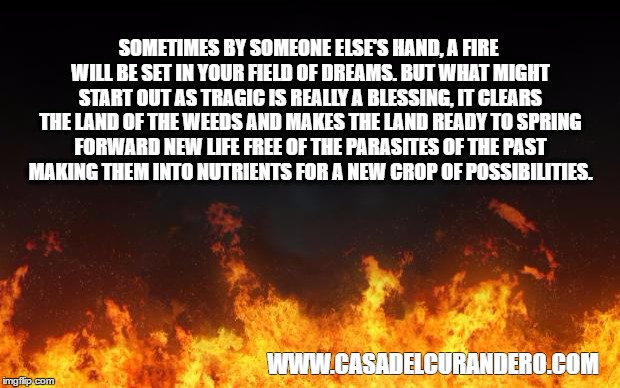 fire | SOMETIMES BY SOMEONE ELSE'S HAND, A FIRE WILL BE SET IN YOUR FIELD OF DREAMS. BUT WHAT MIGHT START OUT AS TRAGIC IS REALLY A BLESSING, IT CLEARS THE LAND OF THE WEEDS AND MAKES THE LAND READY TO SPRING FORWARD NEW LIFE FREE OF THE PARASITES OF THE PAST MAKING THEM INTO NUTRIENTS FOR A NEW CROP OF POSSIBILITIES. WWW.CASADELCURANDERO.COM | image tagged in fire | made w/ Imgflip meme maker
