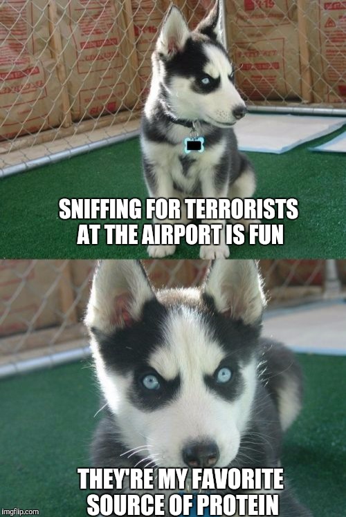 Insanity Puppy | SNIFFING FOR TERRORISTS AT THE AIRPORT IS FUN; THEY'RE MY FAVORITE SOURCE OF PROTEIN | image tagged in memes,insanity puppy | made w/ Imgflip meme maker