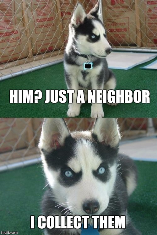 Insanity Puppy | HIM? JUST A NEIGHBOR; I COLLECT THEM | image tagged in memes,insanity puppy | made w/ Imgflip meme maker