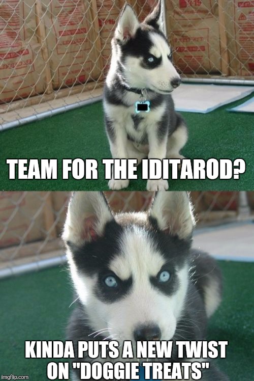 Insanity Puppy | TEAM FOR THE IDITAROD? KINDA PUTS A NEW TWIST ON "DOGGIE TREATS" | image tagged in memes,insanity puppy | made w/ Imgflip meme maker