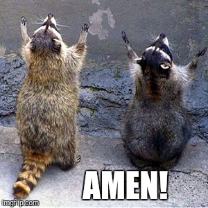 Praying Raccoons | AMEN! | image tagged in praying raccoons | made w/ Imgflip meme maker