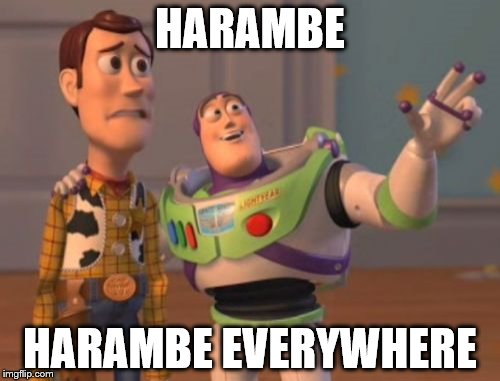 X, X Everywhere | HARAMBE; HARAMBE EVERYWHERE | image tagged in memes,x x everywhere | made w/ Imgflip meme maker