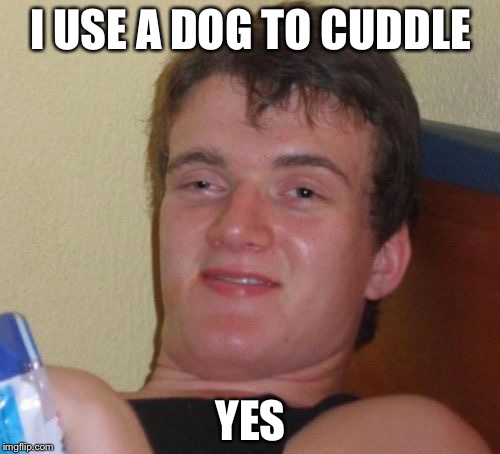10 Guy Meme | I USE A DOG TO CUDDLE YES | image tagged in memes,10 guy | made w/ Imgflip meme maker
