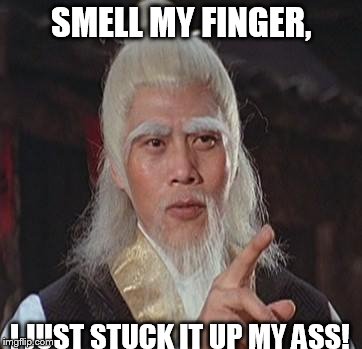 Wise Kung Fu Master | SMELL MY FINGER, I JUST STUCK IT UP MY ASS! | image tagged in wise kung fu master | made w/ Imgflip meme maker