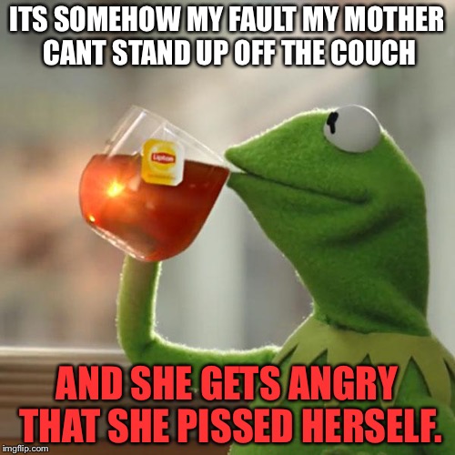 But That's None Of My Business Meme | ITS SOMEHOW MY FAULT MY MOTHER CANT STAND UP OFF THE COUCH; AND SHE GETS ANGRY THAT SHE PISSED HERSELF. | image tagged in memes,but thats none of my business,kermit the frog | made w/ Imgflip meme maker