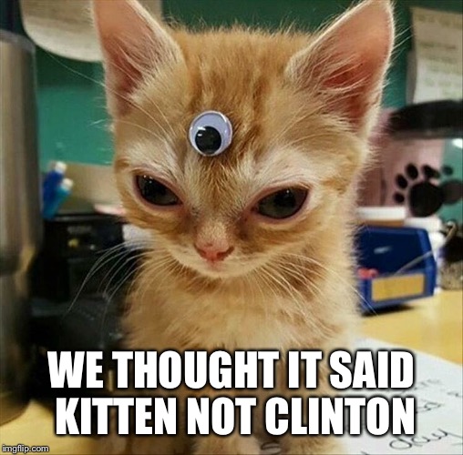WE THOUGHT IT SAID KITTEN NOT CLINTON | made w/ Imgflip meme maker