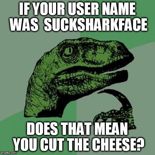 Philosoraptor Meme | IF YOUR USER NAME WAS  SUCKSHARKFACE DOES THAT MEAN YOU CUT THE CHEESE? | image tagged in memes,philosoraptor | made w/ Imgflip meme maker