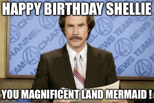 Ron Burgundy Meme | HAPPY BIRTHDAY SHELLIE; YOU MAGNIFICENT LAND MERMAID ! | image tagged in memes,ron burgundy | made w/ Imgflip meme maker